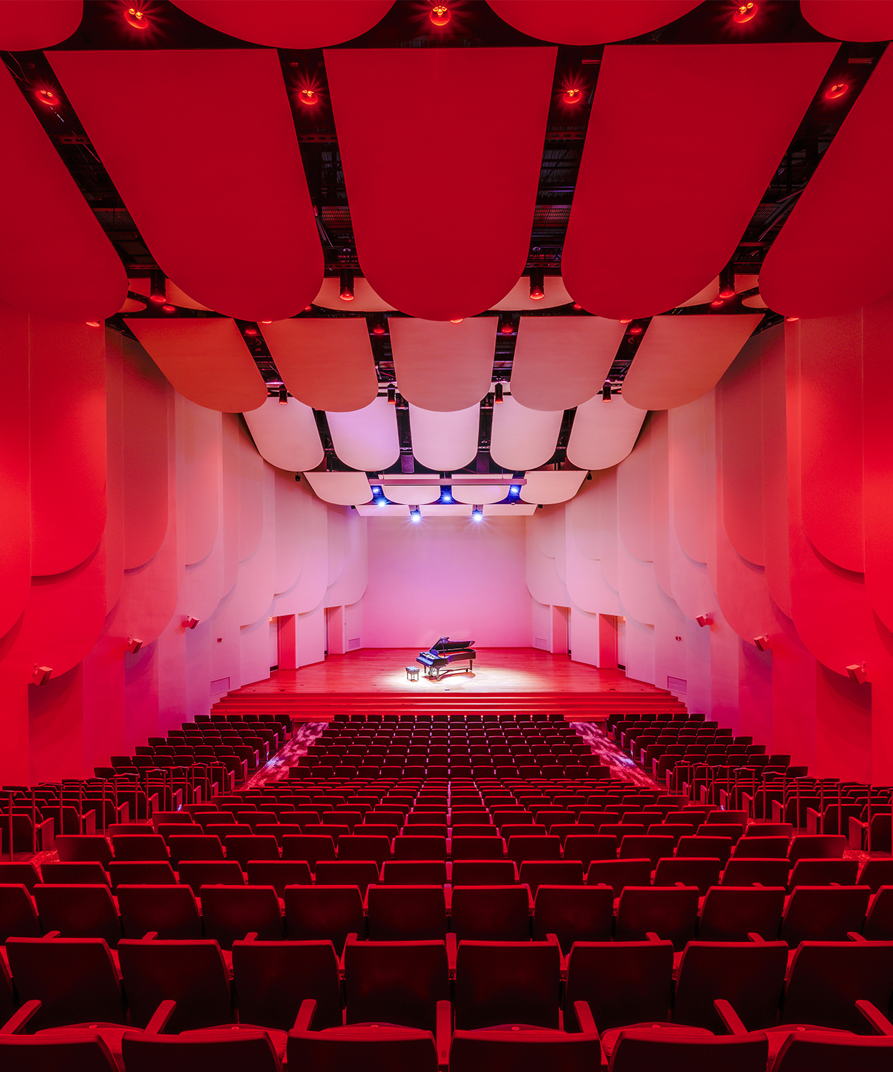 Wake Forest University