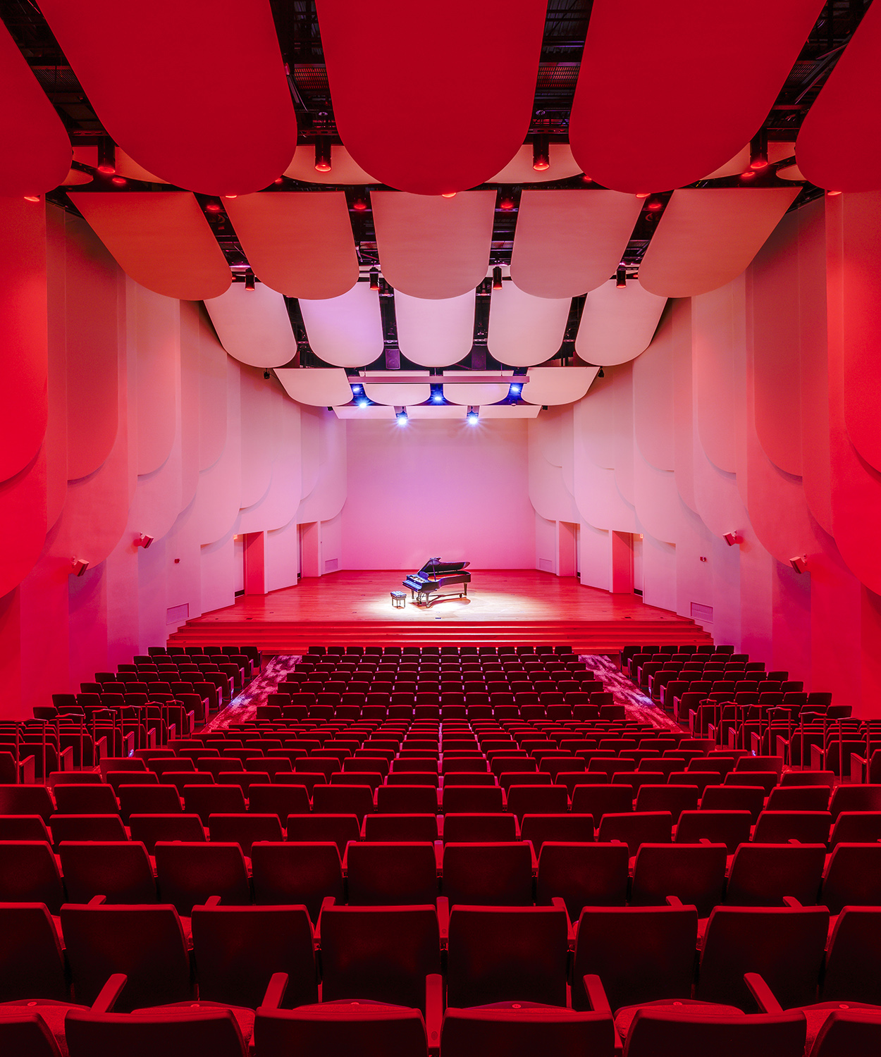 Wake Forest University