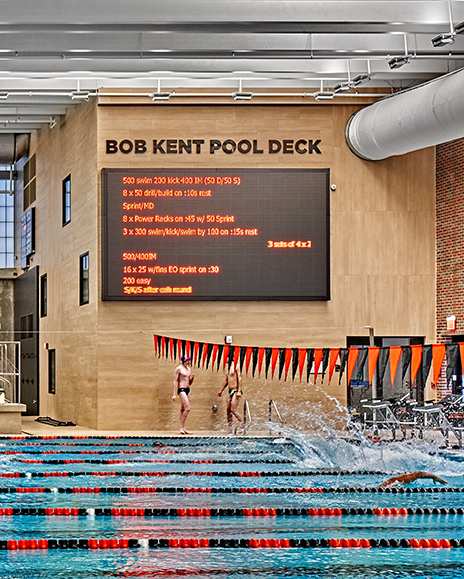 Kalamazoo College natatorium ceiling receiving indirect uplight from Bolt fixtures